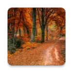 autumn wallpaper android application logo